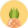 菠萝蜜视频绿巨人视频app